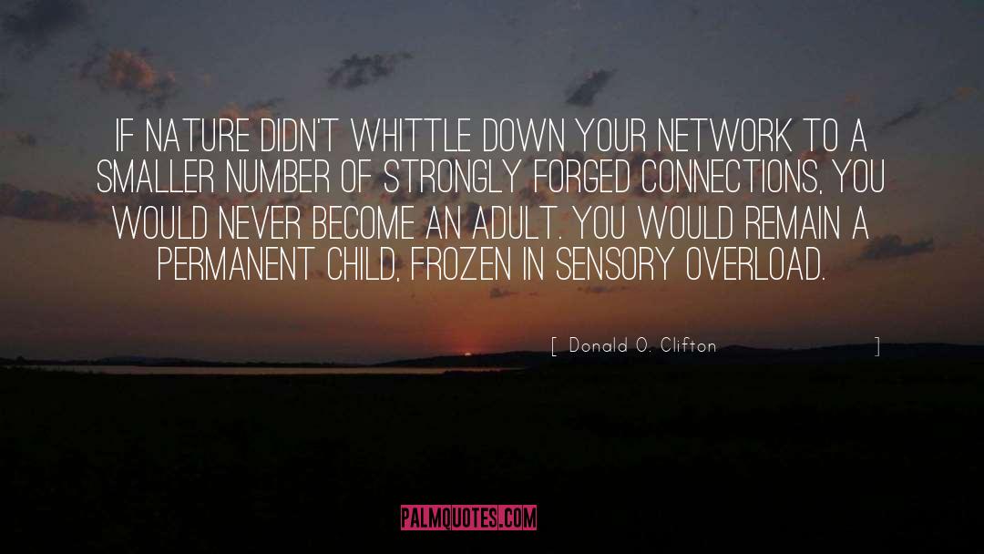 Network Topology quotes by Donald O. Clifton