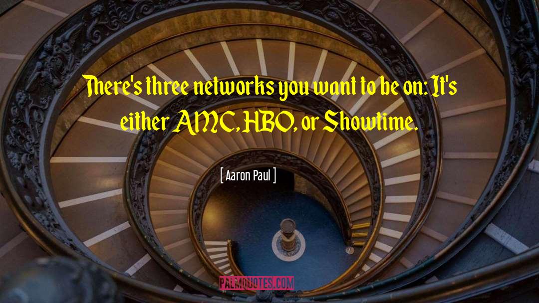 Networks quotes by Aaron Paul