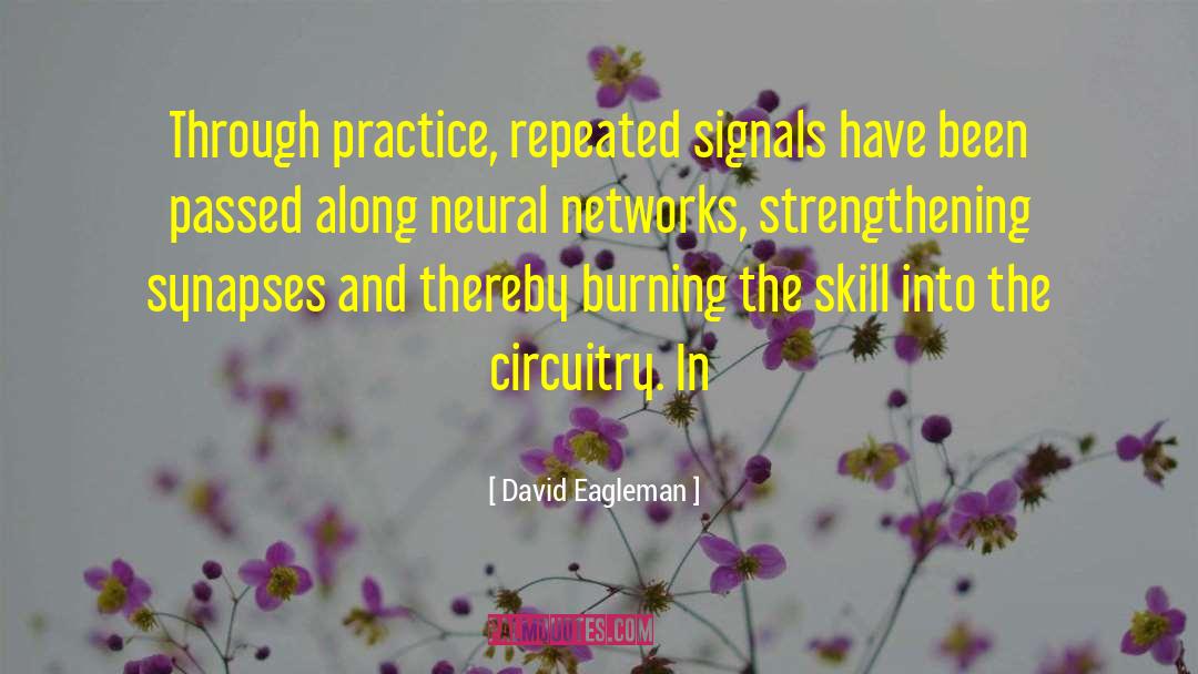 Neural Plasticity quotes by David Eagleman