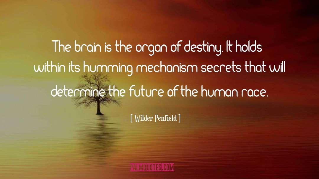 Neurobiology quotes by Wilder Penfield