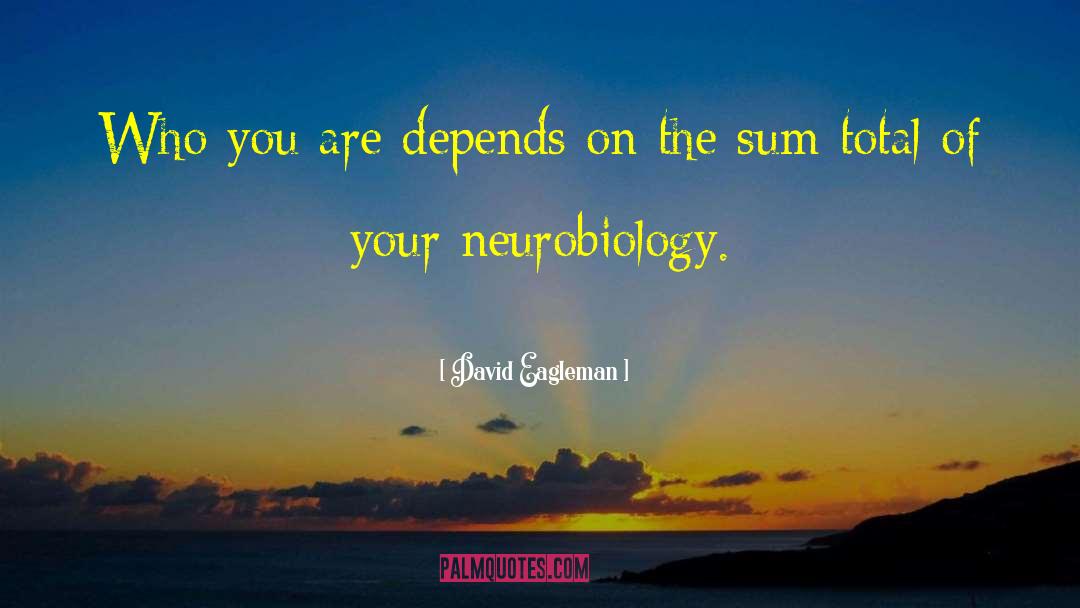 Neurobiology quotes by David Eagleman