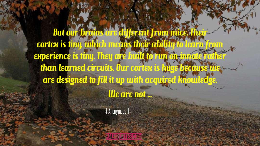 Neuron quotes by Anonymous