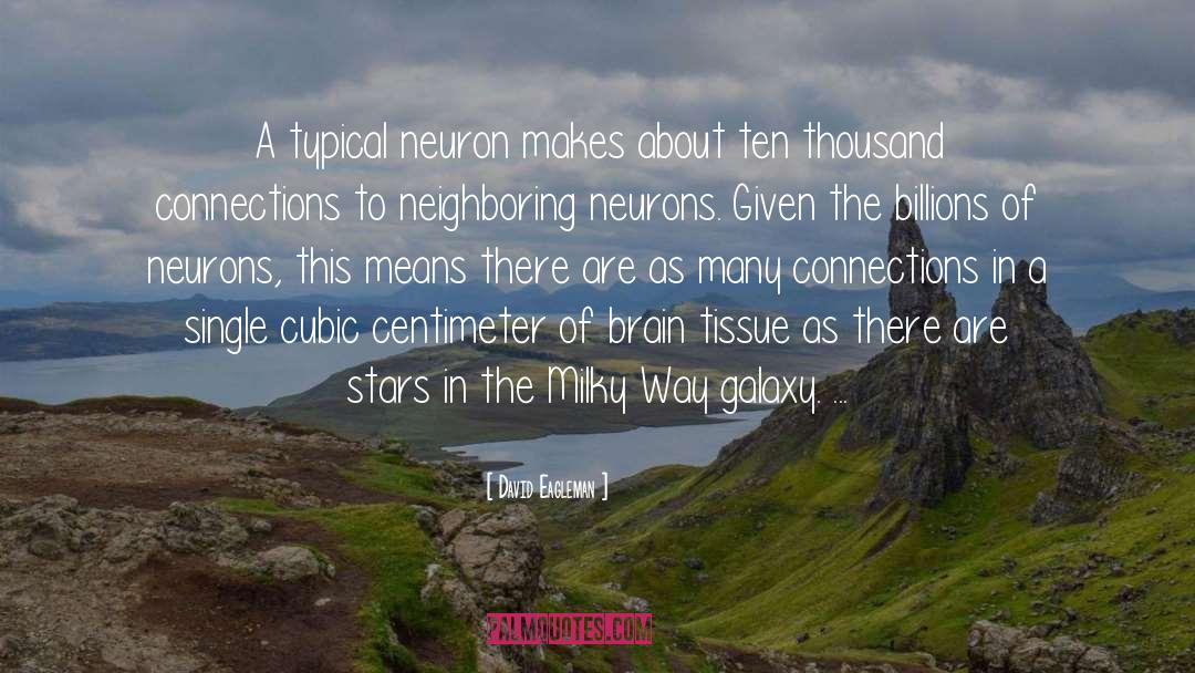 Neuron quotes by David Eagleman