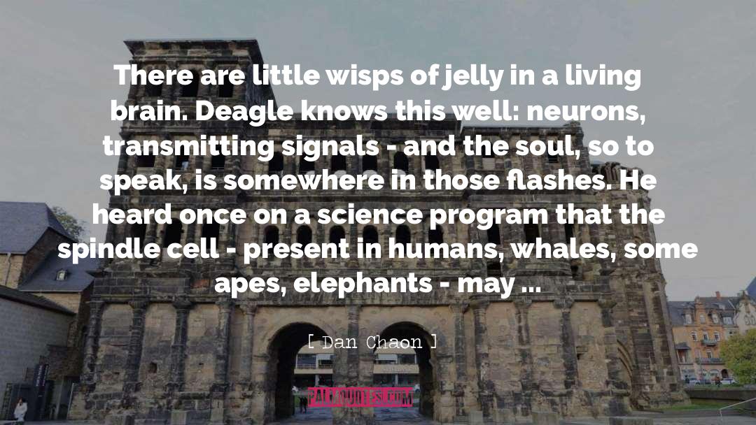 Neurons quotes by Dan Chaon