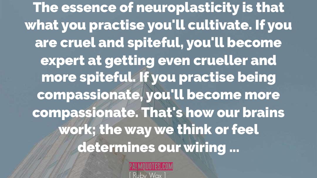 Neuroplasticity quotes by Ruby Wax