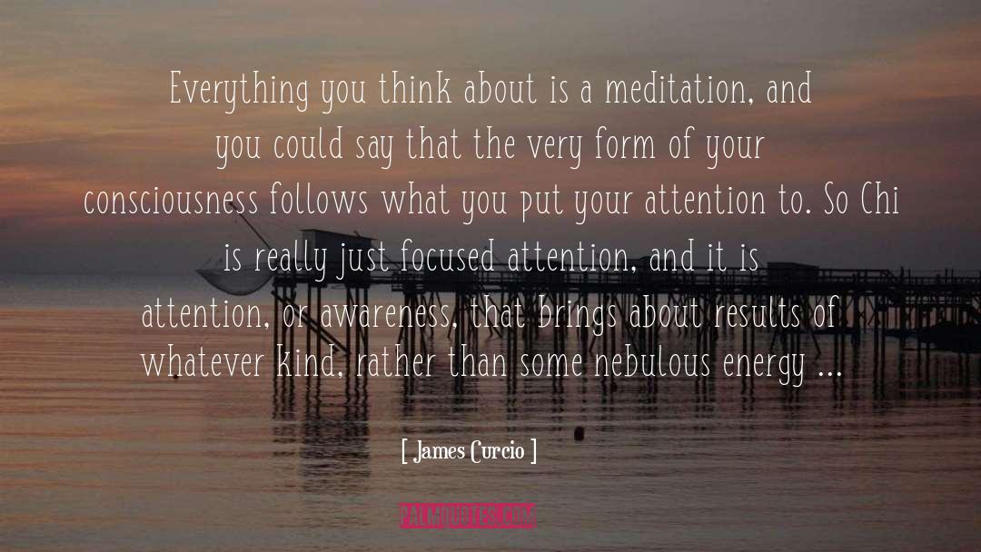 Neuroscience Of Meditation quotes by James Curcio