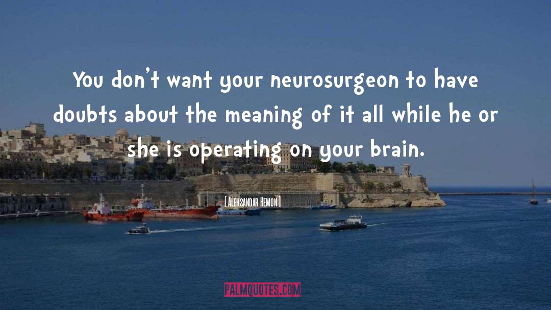 Neurosurgeons quotes by Aleksandar Hemon