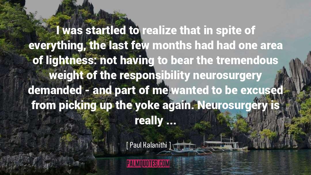 Neurosurgery quotes by Paul Kalanithi
