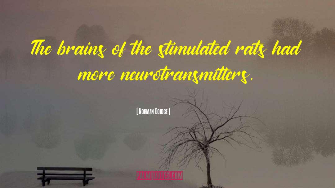 Neurotransmitters quotes by Norman Doidge