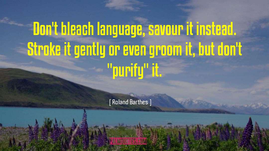 Neutralize Bleach quotes by Roland Barthes