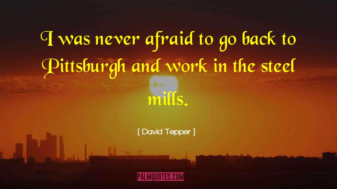 Never Afraid quotes by David Tepper