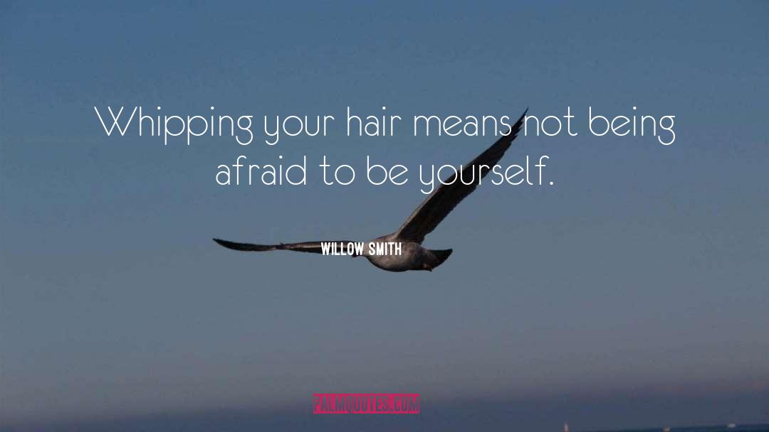 Never Afraid quotes by Willow Smith