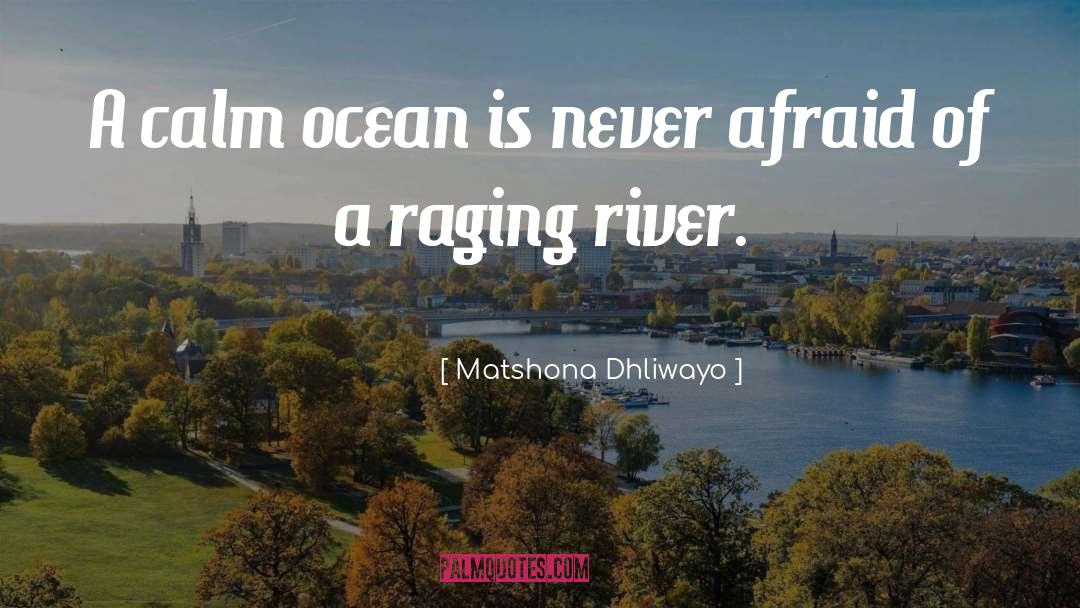 Never Afraid quotes by Matshona Dhliwayo