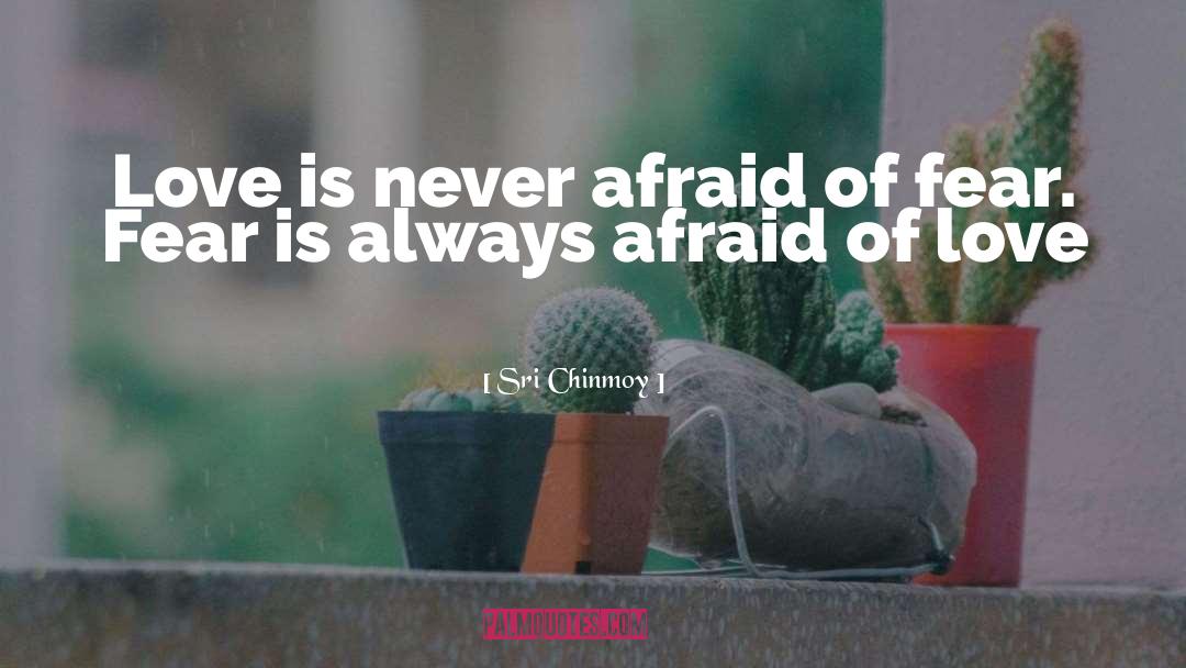 Never Afraid quotes by Sri Chinmoy