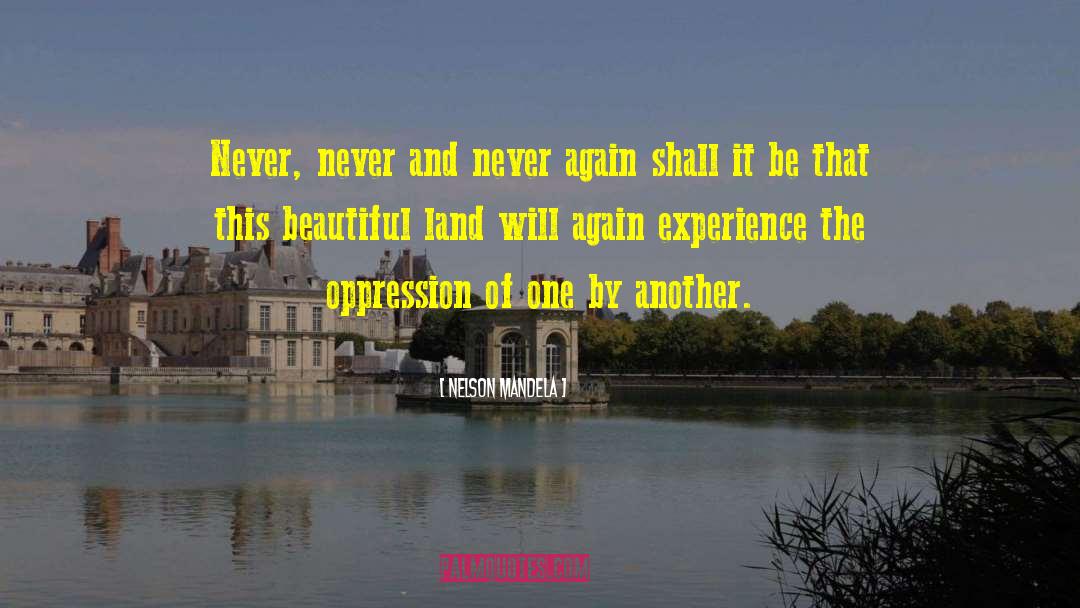 Never Again quotes by Nelson Mandela