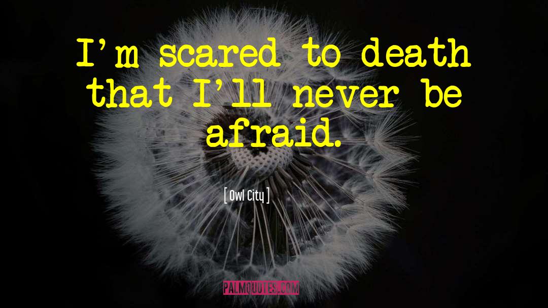 Never Be Afraid quotes by Owl City