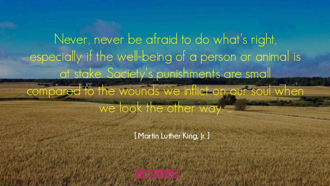 Never Be Afraid quotes by Martin Luther King, Jr.