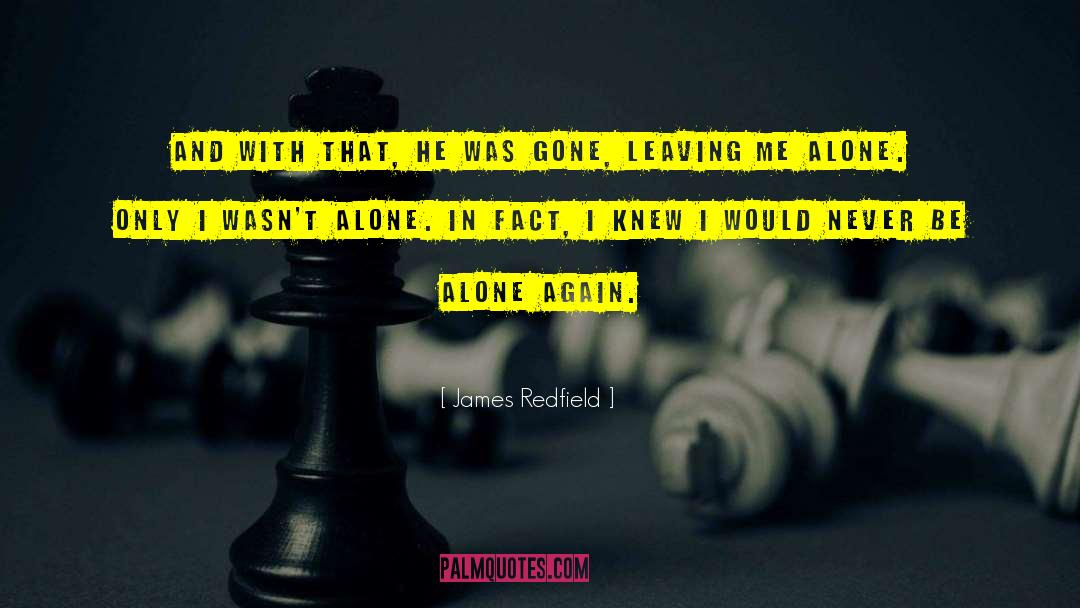 Never Be Alone quotes by James Redfield
