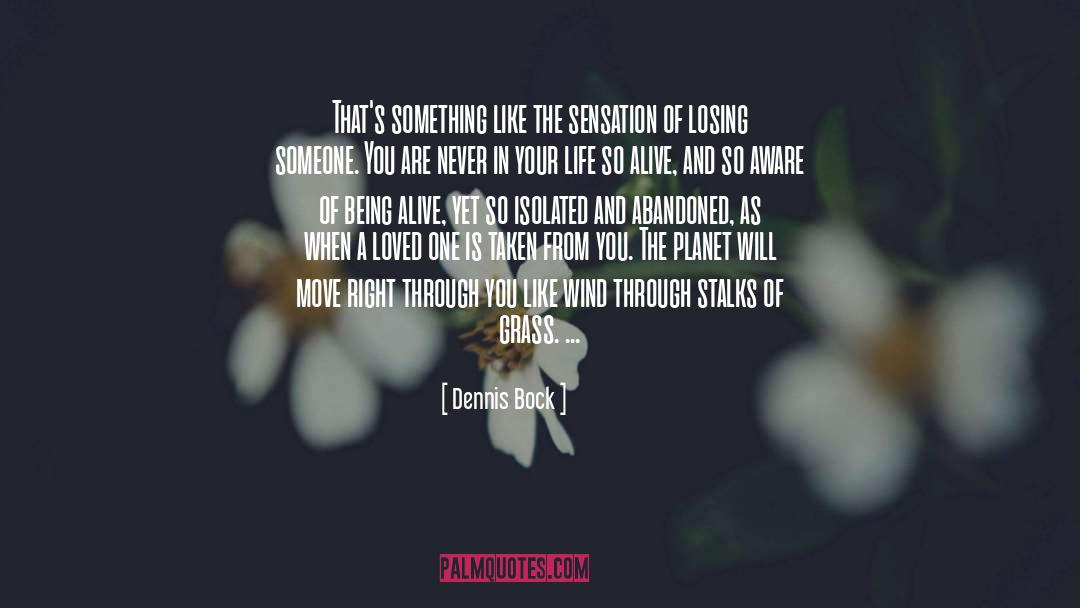 Never Being The Right One quotes by Dennis Bock