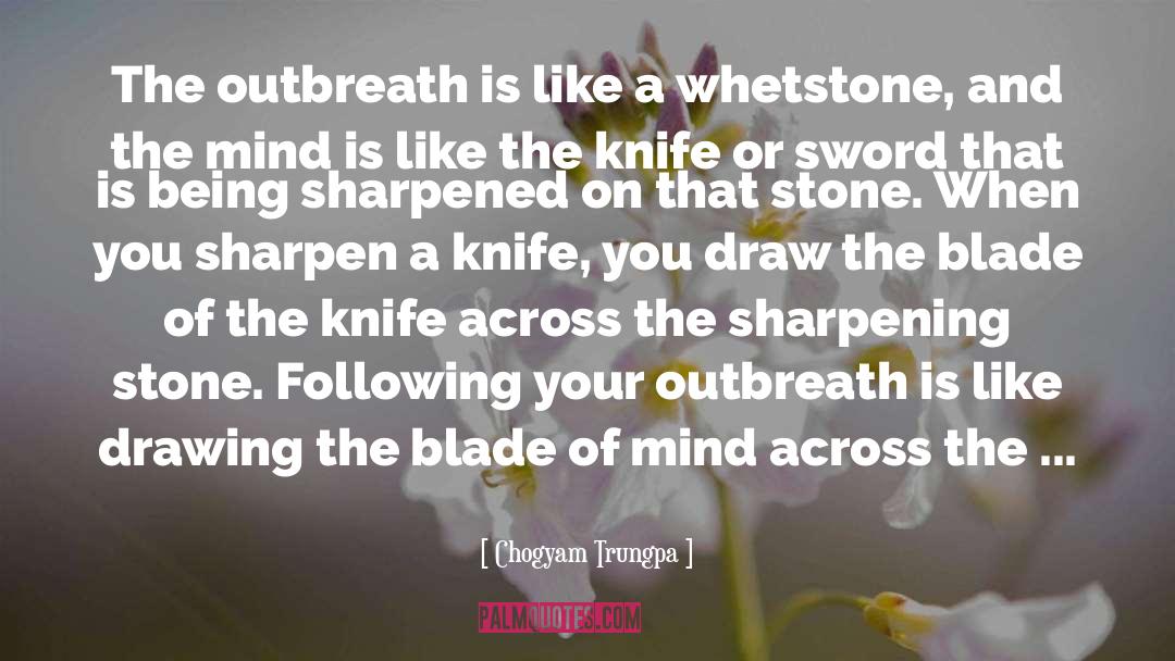 Never Bring A Knife To A Gunfight quotes by Chogyam Trungpa