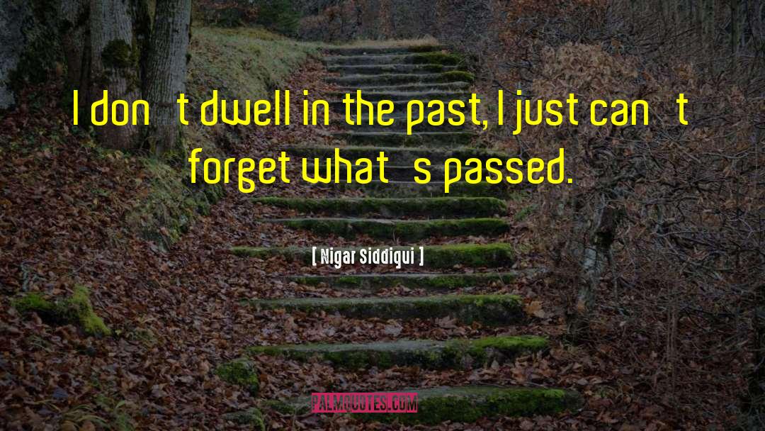 Never Dwell In The Past quotes by Nigar Siddiqui