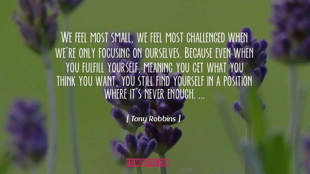 Never Enough quotes by Tony Robbins