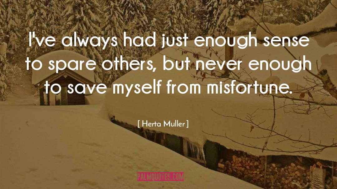 Never Enough quotes by Herta Muller