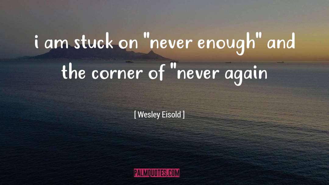 Never Enough quotes by Wesley Eisold