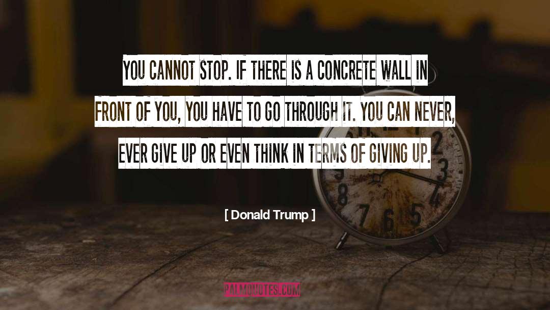 Never Ever Give Up quotes by Donald Trump