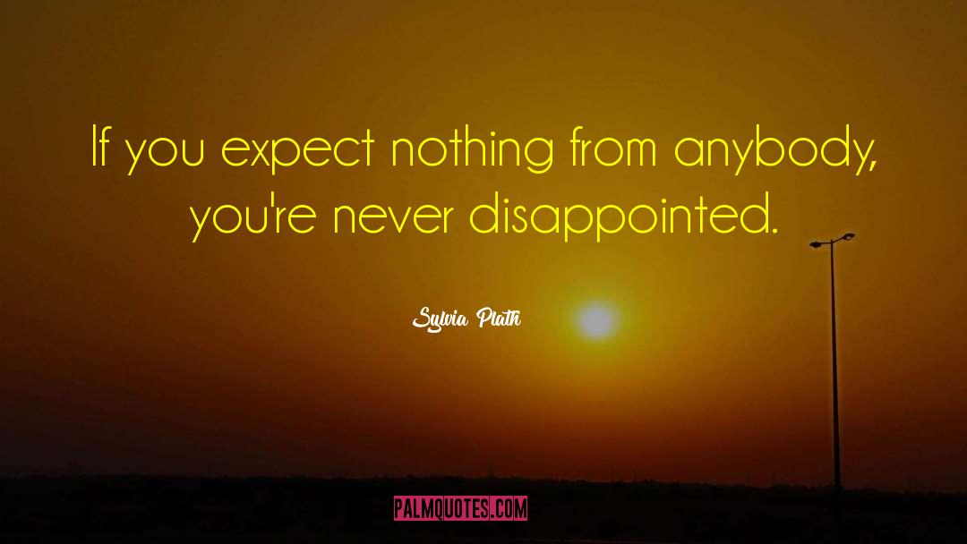 Never Expect quotes by Sylvia Plath