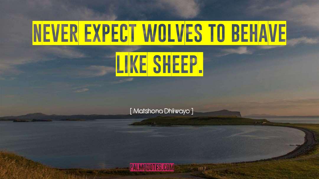 Never Expect quotes by Matshona Dhliwayo