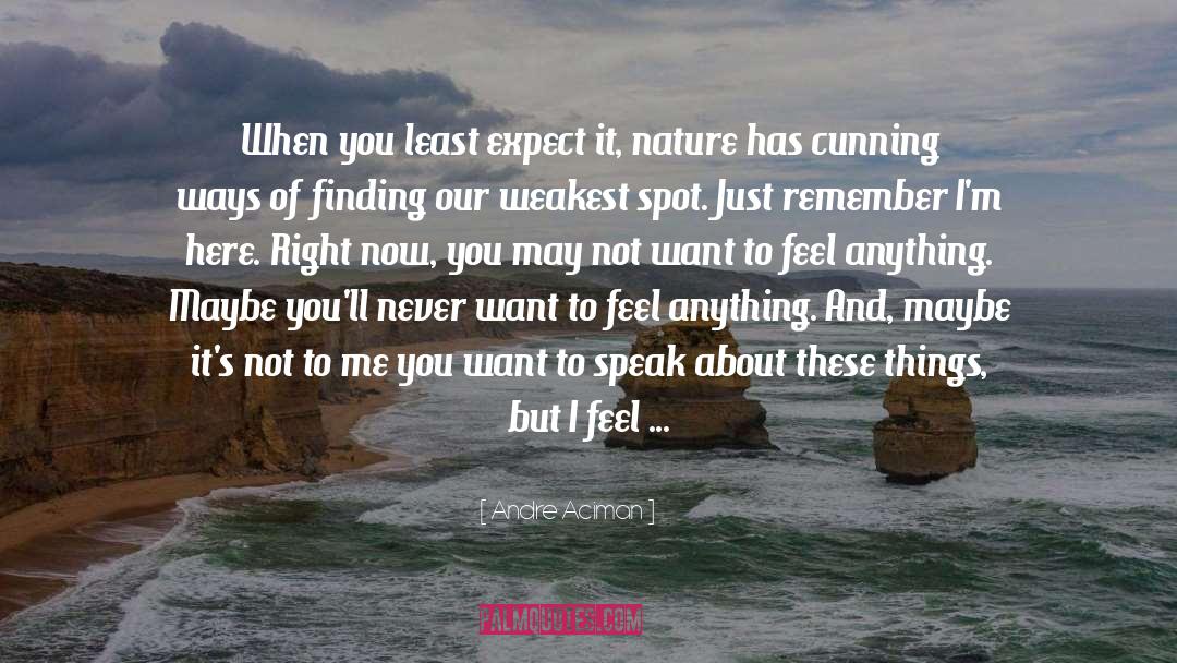 Never Expect To Be Accepted quotes by Andre Aciman