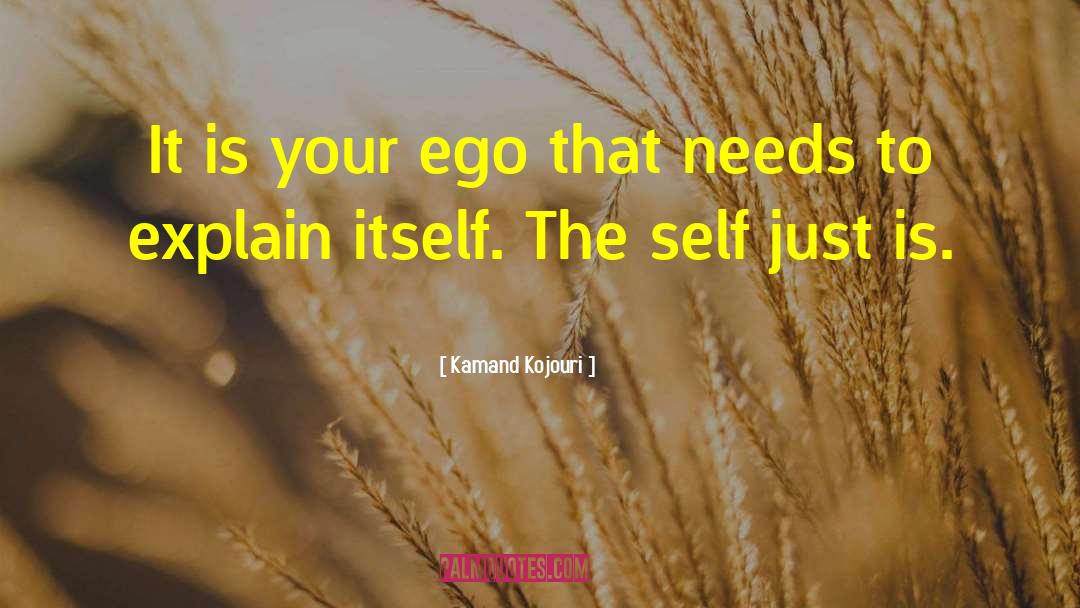 Never Explain Yourself Quote quotes by Kamand Kojouri
