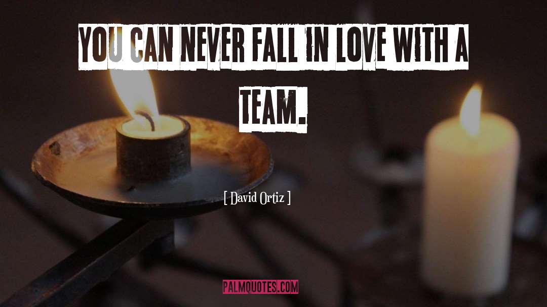 Never Fall In Love quotes by David Ortiz