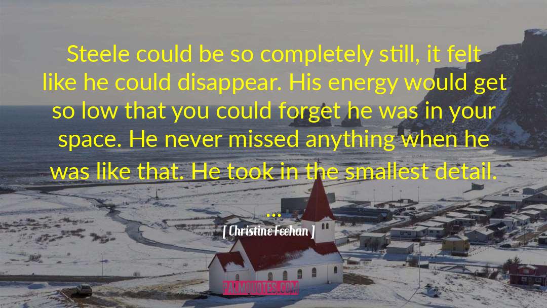 Never Felt So Lonely quotes by Christine Feehan