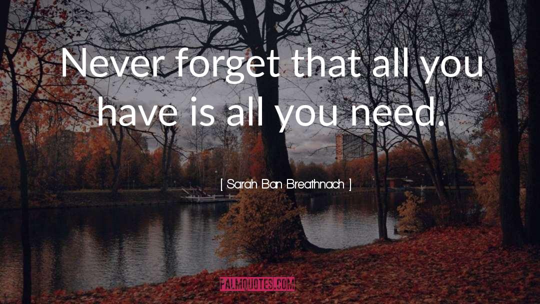 Never Forget quotes by Sarah Ban Breathnach