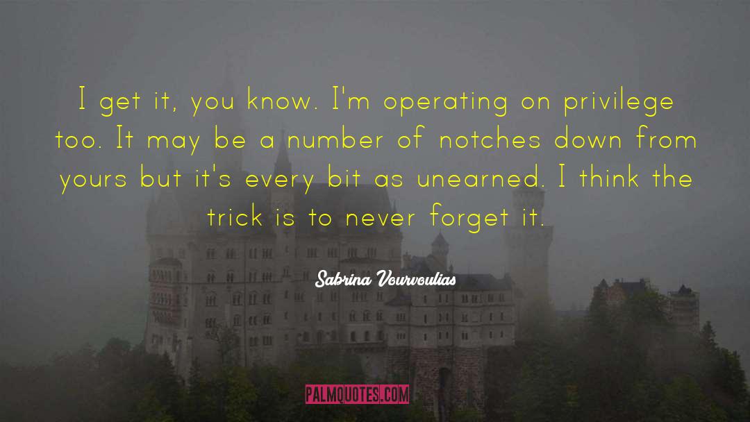 Never Forget To Appreciate quotes by Sabrina Vourvoulias