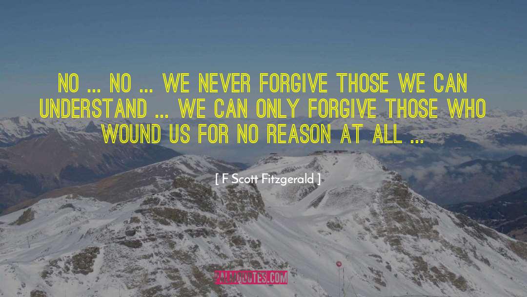 Never Forgive quotes by F Scott Fitzgerald