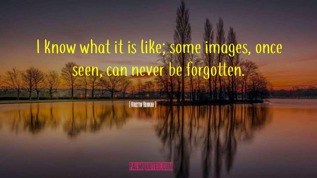 Never Forgotten Love quotes by Kristin Hannah