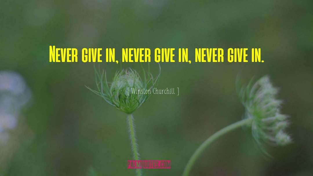 Never Give In quotes by Winston Churchill