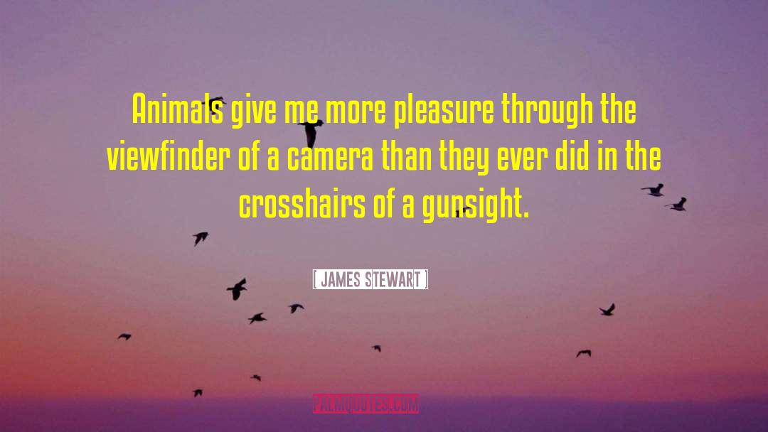 Never Give In quotes by James Stewart