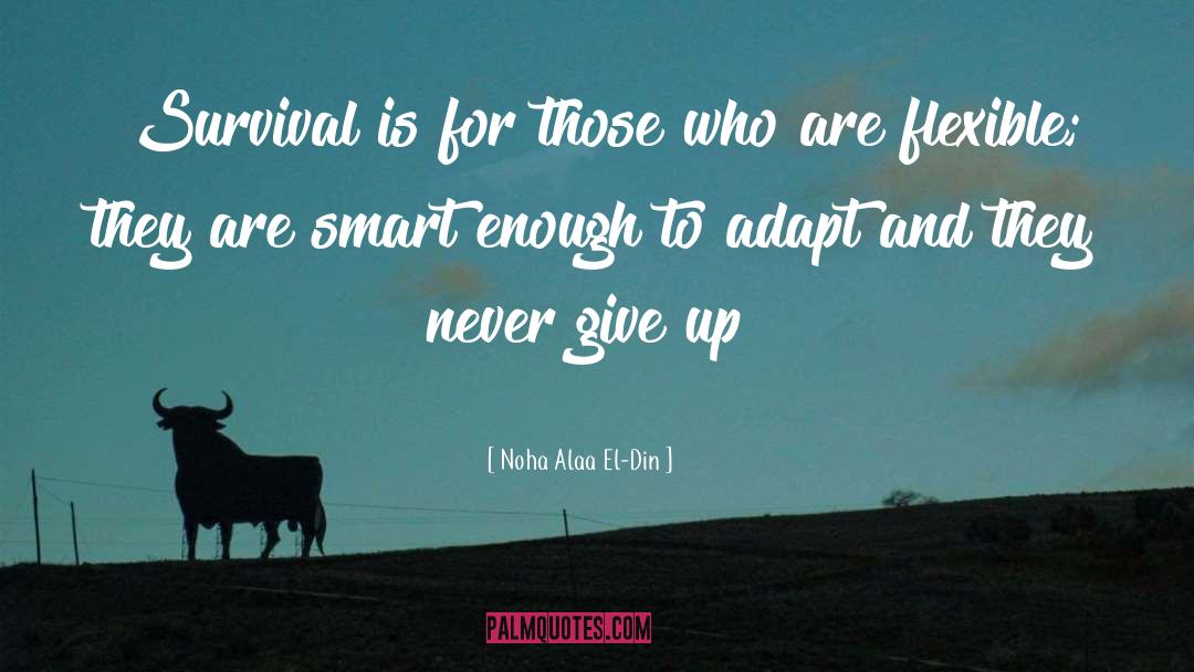 Never Give Up Hope quotes by Noha Alaa El-Din