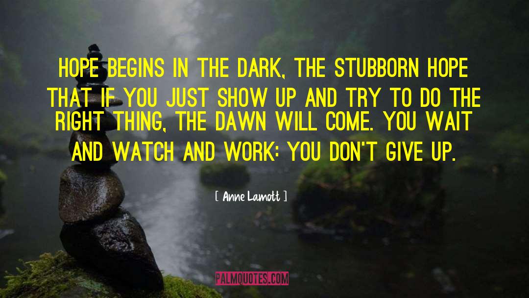 Never Give Up Hope quotes by Anne Lamott