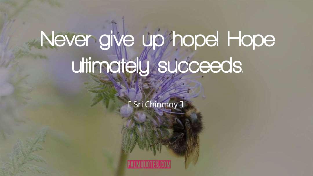 Never Give Up Hope quotes by Sri Chinmoy