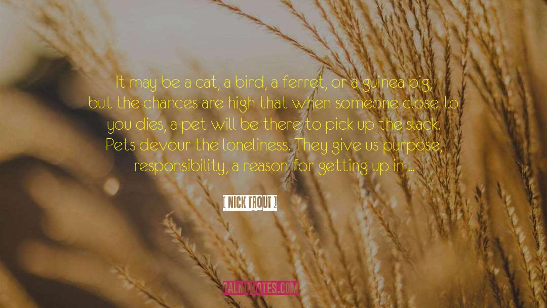 Never Give Up On Love quotes by Nick Trout