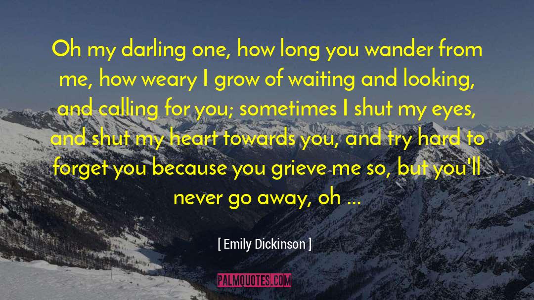 Never Go Away quotes by Emily Dickinson