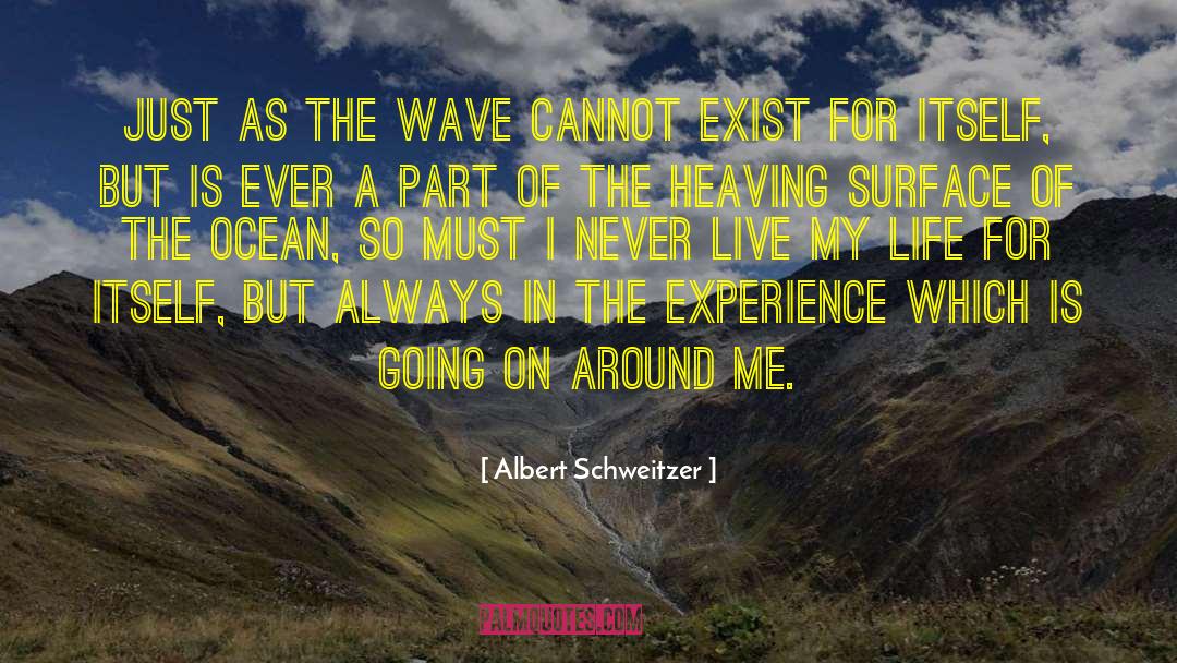 Never Going Back quotes by Albert Schweitzer