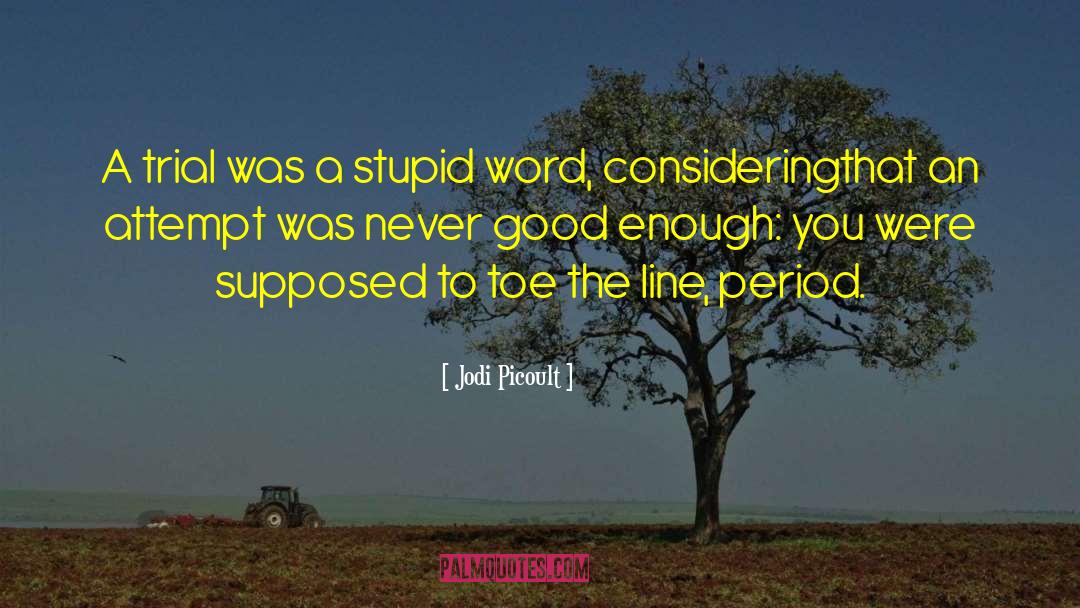 Never Good Enough quotes by Jodi Picoult