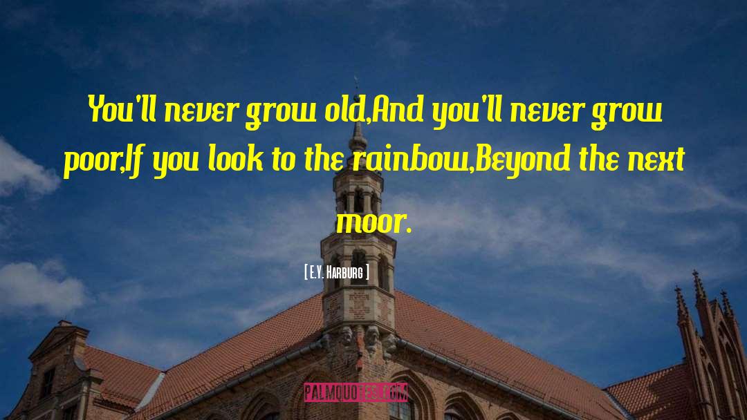 Never Grow Old quotes by E.Y. Harburg