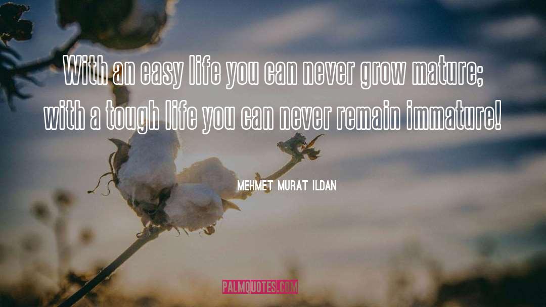Never Grow quotes by Mehmet Murat Ildan